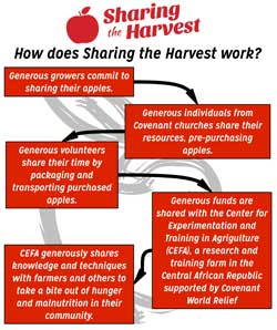 STH-HowitWorksforParticipatingChurches